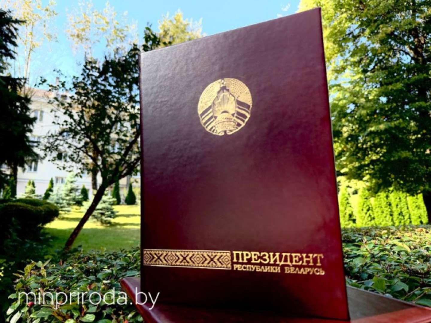 65 ЛЕТ МИНПРИРОДЫ!