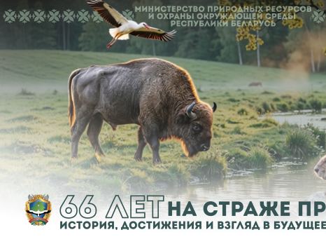 66 лет на страже родной природы: история, достижения и взгляд в будущее